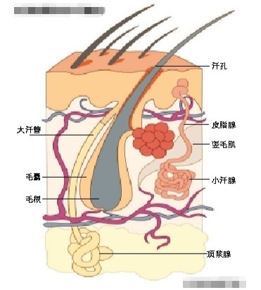 QQͼ20120720154031.jpg